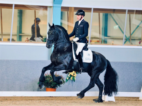 HorseID: 2302833 Aart Fan Osterberg - PhotoID: 1085212