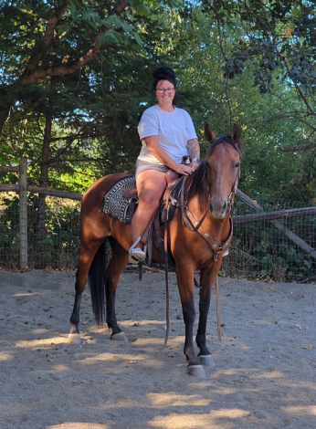 HorseID: 2302859 Red - PhotoID: 1085271