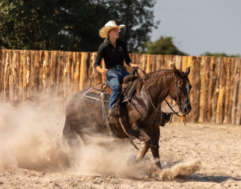 HorseID: 2302888 GUNNA BE A STAR - PhotoID: 1085294