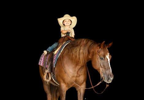 HorseID: 2302888 GUNNA BE A STAR - PhotoID: 1085297