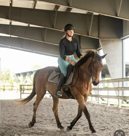 HorseID: 2302889 Dallas - PhotoID: 1085298