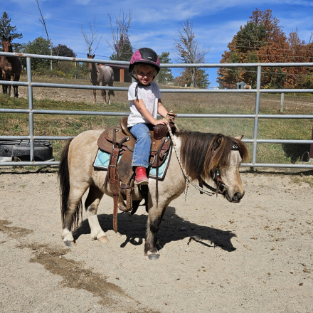 HorseID: 2302900 Firecracker - PhotoID: 1085310