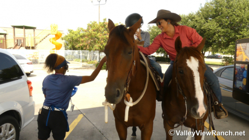 HorseID: 2302907 Hollywood Ascootin - PhotoID: 1085326