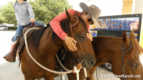 HorseID: 2302910 HV Smart N Fancy - PhotoID: 1085332