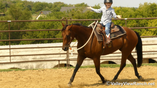 HorseID: 2302910 HV Smart N Fancy - PhotoID: 1085333