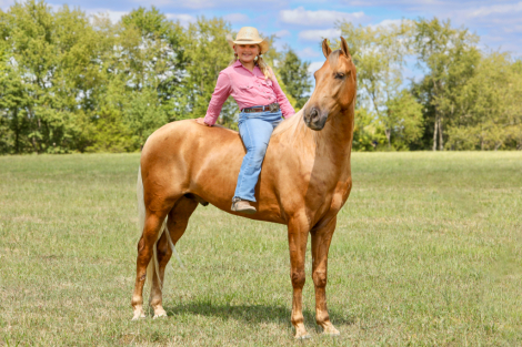 HorseID: 2302912 Charlie Brown - PhotoID: 1085336