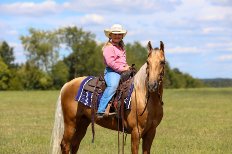 HorseID: 2302912 Charlie Brown - PhotoID: 1085339