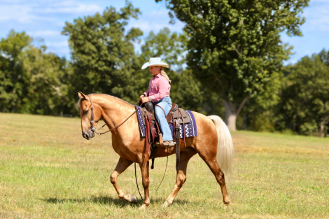 HorseID: 2302912 Charlie Brown - PhotoID: 1085341