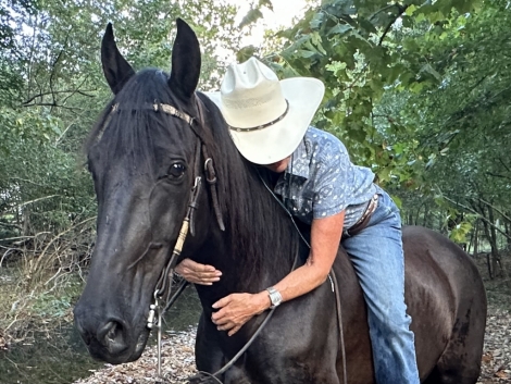 HorseID: 2302914 Ozark - PhotoID: 1085349