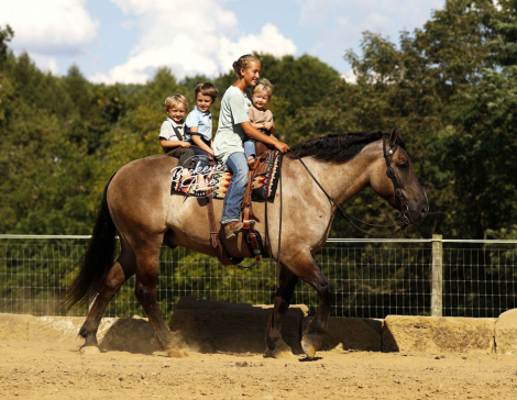 HorseID: 2302921 Kodiak - PhotoID: 1085377