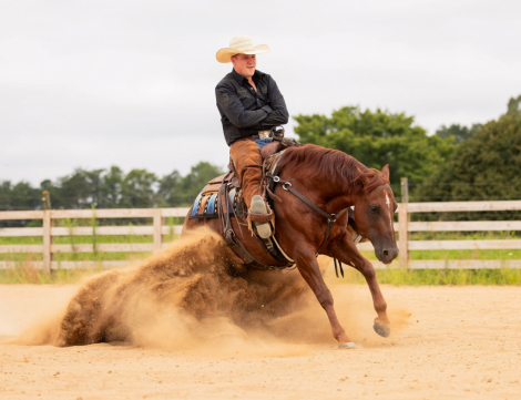 HorseID: 2302928 DUNIT BOOM BOOM - PhotoID: 1085390