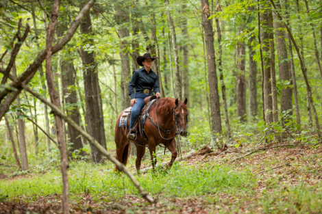 HorseID: 2302928 DUNIT BOOM BOOM - PhotoID: 1085392