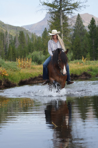 HorseID: 2302930 Bran - PhotoID: 1085395