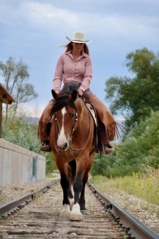 HorseID: 2302930 Bran - PhotoID: 1085396