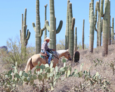 HorseID: 2302932 RIGHT TO BEAR ARMZ - PhotoID: 1085408