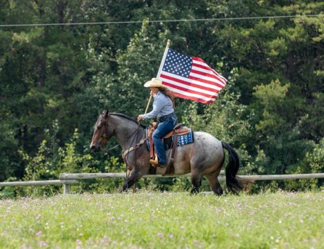 HorseID: 2302933 Bentley - PhotoID: 1085418