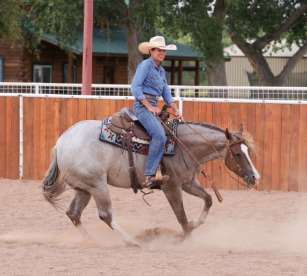 HorseID: 2302935 PAYASO CATINSELTOWN - PhotoID: 1085425