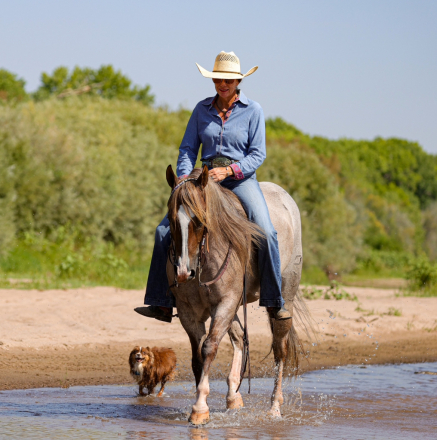 HorseID: 2302935 PAYASO CATINSELTOWN - PhotoID: 1085427