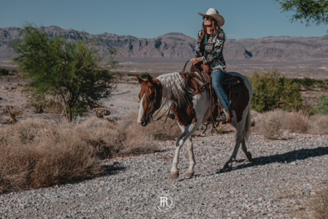 HorseID: 2302937 GYPSY ROSE MOON KITTY - PhotoID: 1085430