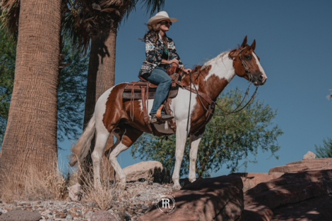 HorseID: 2302937 GYPSY ROSE MOON KITTY - PhotoID: 1085431