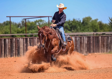 HorseID: 2302942 DEALIN IN METALLIC - PhotoID: 1085439