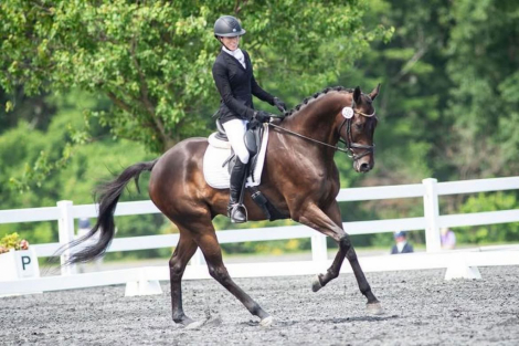 HorseID: 2302951 Rettelle - PhotoID: 1085364