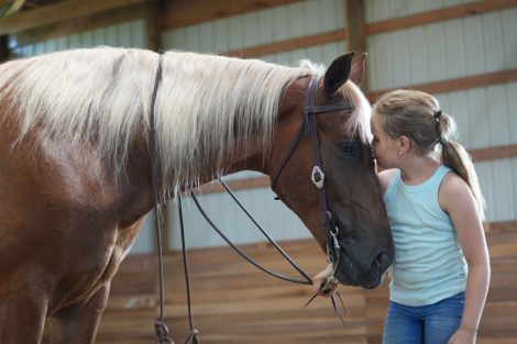 HorseID: 2303000 Mad About You - PhotoID: 1085514