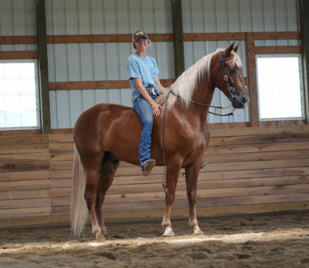 HorseID: 2303000 Mad About You - PhotoID: 1085515