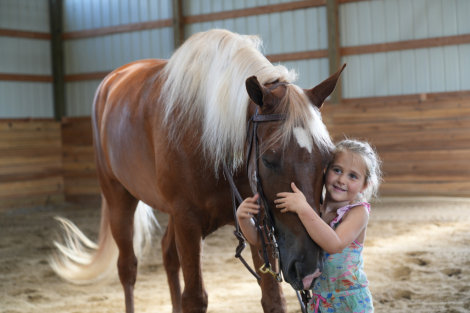 HorseID: 2303000 Mad About You - PhotoID: 1085516