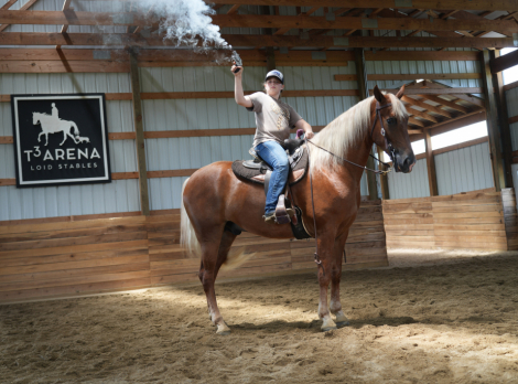 HorseID: 2303000 Mad About You - PhotoID: 1085518