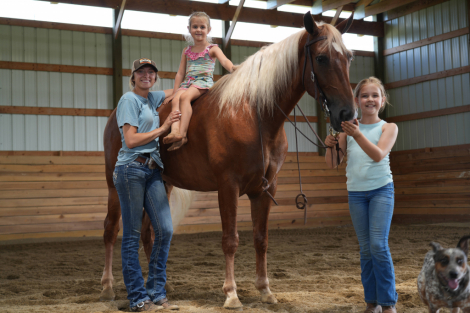 HorseID: 2303000 Mad About You - PhotoID: 1085519