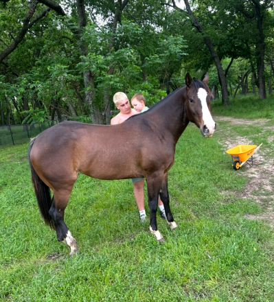 HorseID: 2303034 Docs Lil Feintastic - PhotoID: 1085560