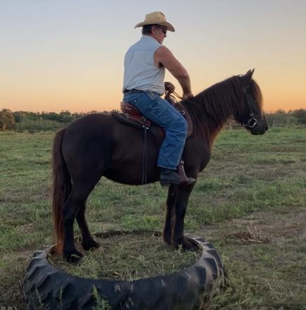 HorseID: 2303066 Kimberlake Latimere - PhotoID: 1085603