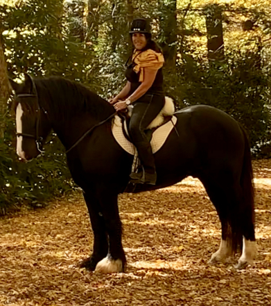 HorseID: 2303090 My wildest dream after Midnight - PhotoID: 1085622