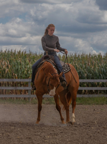 HorseID: 2303094 Genuine Twang - PhotoID: 1085625