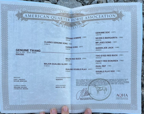 HorseID: 2303094 Genuine Twang - PhotoID: 1085626