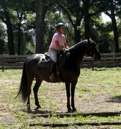 HorseID: 2303108 Galante IALHA - PhotoID: 1085646