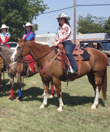 HorseID: 2303126 Zippos Crash - PhotoID: 1085715