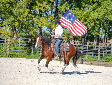 HorseID: 2303128 Clyde PSS - PhotoID: 1085707