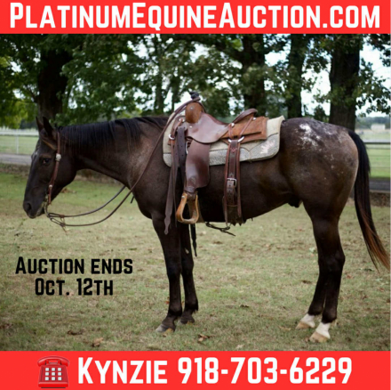 HorseID: 2303130 Applejack TG - PhotoID: 1085697