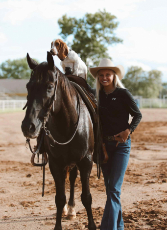 HorseID: 2303130 Applejack TG - PhotoID: 1085699