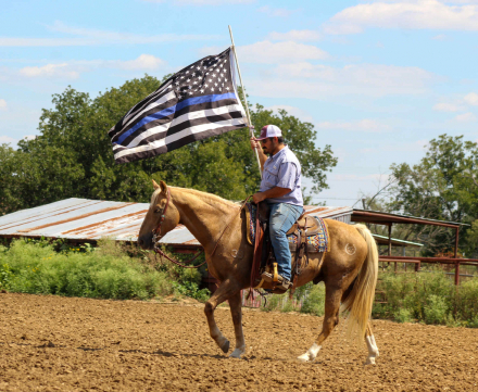 HorseID: 2303135 First Down Firen M$ - PhotoID: 1085712