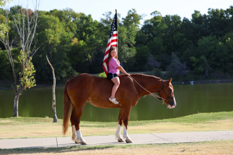 HorseID: 2303899 ROSALEE - PhotoID: 1105535