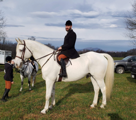 HorseID: 2304310 Da Grey - PhotoID: 1106341