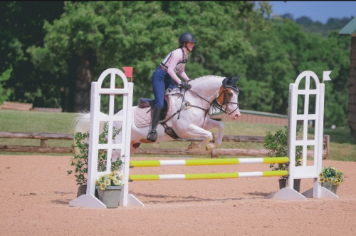 HorseID: 2305454 LOOK N FOR A SPOT - PhotoID: 1101093
