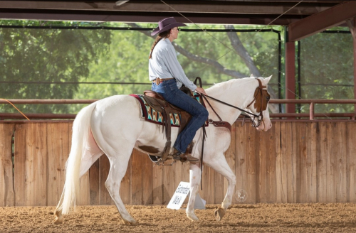 HorseID: 2305454 LOOK N FOR A SPOT - PhotoID: 1101095