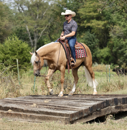HorseID: 2305572 SPEEDIN N DRIFTN - PhotoID: 1089054