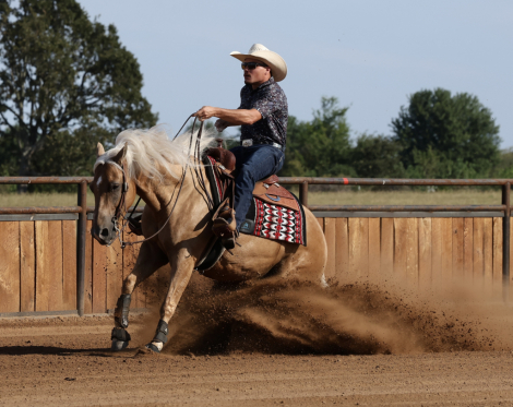 HorseID: 2305572 SPEEDIN N DRIFTN - PhotoID: 1089055