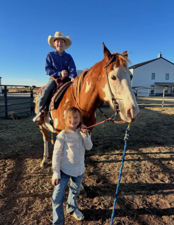 HorseID: 2305745 CHEETO - PhotoID: 1101106