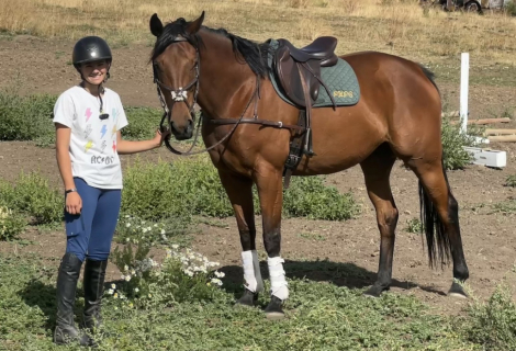 HorseID: 2305792 Sweet Meg - PhotoID: 1106274